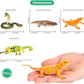 Volnau Animal Figurines Snake Toys 11PCS Reptile Figures Cold Blooded Amphibians Lizard Zoo Pack for Toddlers Kids Christmas Decoration Gift