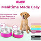 Bright Pink Dog Bowl for Small Dogs, 32 oz Non Slip Stainless Steel Pet Bowl, Vacuum Insulated Pet Bowl That Keeps Water Cool (32 oz, Bright Pink)
