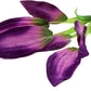 Silk Aquarium Plants for Betta Fish Tank, 2 Pcs 8 Inch Small Silk Aquarium Plant Aquatic Water Grass Decoration, Purple