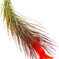 Air Plants - Tillandsia Funckiana Hybrid, Large 5-7" - 5ct - Live Arrival Guaranteed - House Plants for Home Decor & Gift