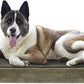Furhaven Cooling Gel Dog Bed for Large Dogs w/ Removable Bolsters & Washable Cover, For Dogs Up to 95 lbs - Faux Fur & Velvet Sofa - Dark Sage, Jumbo/XL