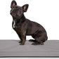 K9 Ballistics Tough Ripstop Orthopedic Dog Crate Bed - Durable Pad with Washable Cover, for Wire Crates, Tie-Downs Included, Size: Small 29"x18", Light Gray Velvet
