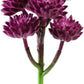 AQUANEAT Terrarium Plant, Fake Reptile Plant for Amphibian Habitat, 6.5 inch Tall Purple