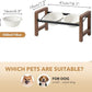6.3inch Ceramic Adjustable Raised Double Bowls Set with Stand, 3 Heights Elevated, 2 Placement Options,Food and Water Bowls for Adult Cat Small and Medium Dog(Reactived Glaze -White)