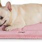 MADE 4 PETS Dog Crate Pad Bed for Medium Dogs, Washable & Reversible, Anti-Slip Kennel Mat for Cozy Sleeping, Soft Fluffy Dog Bed for Indoor & Outdoor Use, 29"x21", Pink