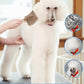 Dog Slicker Brush for Large Dogs, Professional Doodles Brush for Poodles, Goldendoodles and Labradoodles - Easy to Remove Tangles, Mats and Fluff - 3.8"x3.2" Head, 8" Wood Body