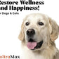 Vetr's Toltramax Toltrazuril Powder for Horses, Dogs, Cats, 100g (2.5%, Chicken)