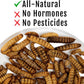 Grub Fuel Black Soldier Fly Larvae for Chickens - Nutrient-Packed BSFL, Sustainably Sourced Snack for Poultry, Rich in Protein, Calcium, Fiber, Essential Fatty Acids, USA Grown (1LB)