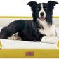Comfort Expression Waterproof Dog Beds Large Sized Dogs, Large Dog Beds Orthopedic Foam, Comfy Pet Bed Sofa with Washable Removable Cover & Non-Slip Bottom(Spicy Mustard)