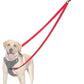 PetBonus Two Point Control Dog Leash, Works with No Pull Harnesses, No Tangle Dog Training Leashes, No Pull Padded and Reflective Walking Lead,Converts to Single Leash for Medium Large Dogs (Red)