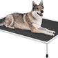 Veehoo Chewproof Elevated Dog Bed - Cooling Raised Pet Cot, Breathable Mesh, Washable & Non-Slip for Large Dogs, Indoor/Outdoor, Black Mat and Silver Metal Frame, 49x33inches (Model CWC2203B03)