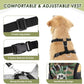 SlowTon Dog Seat Belt Harness for Car, Dog Car Harness Adjustable Mesh Breathable & Dog Seatbelt Safety Tether with Elastic Bungee for Small Medium Large Pets(Camouflage, Double Clip, XS)