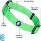 Blueberry Pet Essentials Small Dog Collar in Neon Green | Adjustable & Eco-Friendly Durable Nylon Strap | Classic Collar for Small Dogs, Boy & Girl Pets