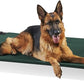 Coolaroo Pro Elevated Dog Bed - Low-Profile Access, Moisture-Resistant Cover, Breathable Fabric & Tool-Free Setup, Brunswick Green, Standard