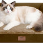 Small Dog Bed and Cat Sofa Waterproof Orthopedic Dog Beds for Small Dogs Cat Bed Comfy Pet Couch Sofa Beds with Washable Removable Cover & Non-Slip Bottom