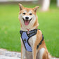 PoyPet No Pull Dog Harness, Reflective Comfortable Vest Harness with Front & Back 2 Leash Attachments and Easy Control Handle Adjustable Soft Padded Pet Vest for Small to Large Dogs (Light Blue,L)