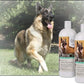 UltraCruz Canine Dog Shampoo and Conditioner Bundle, 32 oz Each