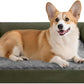 Dog Bed Medium Size Dog-Orthopedic Waterproof Bed for Dogs,Foam Couch Sofa with Washable Removable Cover & Non-Slip Bottom-Dark Green