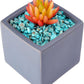 WAYBER 2 Lbs/920g Green Turquoise Decorative Stones Irregular Aquarium Pebbles Crystal Rocks Quartz Gravels for Fish Turtle Tank/Succulent Plants/Air Plants Decoration (Fill 2 Cups)