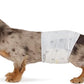 Amazon Basics Male Dog Diapers, 30 Count, Small, Ultra Absorbent Disposable Wrap with Secure Fit, Leakproof and Comfortable