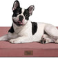 Outdoor Dog Bed for Medium Dogs, Waterproof Dog Bed for Medium Dogs Cats, Orthopedic Egg Crate Foam Pet Bed with Washable and Removable Oxford Cover, Pink