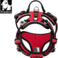 TRUE LOVE Dog Harness No Pull Nylon Reflective Pet Harness Adjustable Comfortable Control Step-in Brilliant Colors Truelove TLH56512 XS Red
