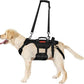 OneTigris Dog Lift Harness for Large Dogs, Dog Hip Support Brace, Full Body Lifter with Handles Invictus Multifunctional Mobility Assistance Vest for Back Legs (Black, Large)