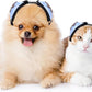 Calming Earmuffs for Cats and Small Dogs - for Anxiety Relief - Noise Canceling for Fireworks, Thunderstorms, Pet Grooming & Force Drying - Dog Ear Muffs Noise Protection (Blue, Medium)