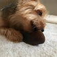 Full-Size Cow Hooves for Dogs | (5 Pack) All-Natural Long Lasting Dog Chews | Made from Grass Fed Cattle | Tasty Treat for Oral Hygiene | Fantastic Alternative for Rawhide and Bully Sticks