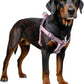Stripe Step in Dog Harness for Small Dogs, Freedom Nylon Dog Halter Vests, Lightweight and Escape Proof Puppy Harness, Quick Fits for Small Medium and Large Dogs, Purple XS