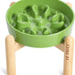 LE TAUCI Ceramic Slow Feed Dog Bowls, Elevated for Small Breeds, Anti-Gulping, Non-Slip, 6 inch, Green