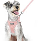 rabbitgoo Dog Harness Small Sized and Leash Set, Step in Soft Light Puppy Vest, Breathable Mesh Pet Harness, Reflective for Outdoor Safe Walking, Pink XL