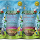 Parrot Food Sample Pack Cooks in as Little as 3 to 15 min | All Natural & Organic Grains and Legumes, Healthy Fruits, Vegetables, and Spices - No Fillers or Additives