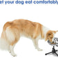 Elevated Dog Bowl with Adjustable Metal Stand, Medium Size for Dogs 30-70 lbs, 0.5 Gal 2 Liter, Stainless Steel Food & Water Bowl Set