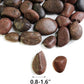 HappyFiller Natural Decorative Pebbles Polished Gravel Rocks Stones for Aquarium,Fish Turtle Tank,Outdoor Indoor Plants Top Dressing,Succulents Soil Cover,Garden Landscaping,2 LB,Red Mix