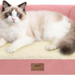 Small Dog Bed and Cat Sofa Waterproof Orthopedic Dog Beds for Small Dogs Cat Bed Comfy Pet Couch Sofa Beds with Washable Removable Cover & Non-Slip Bottom