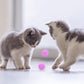 Molain Large Cat Toy Balls, Soft Cat Balls 1Inch Kitten Pom poms Ball Cat Play Toy (50 Pcs)