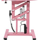 Electric Hydraulic Lift Pet Dog Grooming Table, 24Inch Grooming Desktop for Small Dogs, with Overhead Arm, Wireless Remote, Tool Organizer, Pink