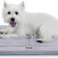 Made4Pets Dog Crate Pad Bed for Small Dogs, Washable & Reversible, Anti-Slip Kennel Mat for Cozy Sleeping, Soft Fluffy Dog Bed for Indoor & Outdoor Use, 24"x18", Gray