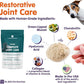 Dr. Bill’s Canine Complete Joint Care – Hip & Joint Supplement for Dogs for Mobility, Muscle Support & Inflammation Relief – Green Lipped Mussel, Chondroitin, Collagen, Omega-3 – Powder, 340g