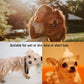7 Pcs Pet Dog Grooming Comb, Metal Head Comb for Long Hair, Dog Tear Stain Remover Combs, Hair Combs Remover for Dogs Cats, Pet Grooming Tool Removes Crust, Mucus and Stains - 5 Types
