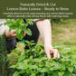 BlendArt Teas - Lemon Balm Herbal Tea - 30 Count - Pyramid Tea Bag | Relive Stres- Lemon Balm Herbal Tea | Reduces Bloating | Refreshing Flavour - Leaf Based - Caffeine Free | Ziplock Pouch