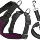 SlowTon Dog Seat Belt Harness for Car, Dog Car Harness Adjustable Mesh Breathable & Dog Seatbelt Safety Tether with Elastic Bungee for Small Medium Large Pets(Burgundy, Single Clip, L)