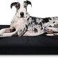 K9 Ballistics Tough Ripstop Orthopedic Rectangle Dog Bed Removable Washable Cover, Solid Orthopedic Foam for XX-Large Dogs 68"x40", Obsidian Black