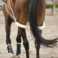 Advanced European Training System | Advanced Training Tool | Enhances Horse Carriage and Headset | Encourages Forward Movement | Strengthens Key Muscles | Not for Beginners