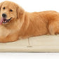 MADE 4 PETS Dog Crate Pad Bed for Large Dogs, Washable & Reversible, Anti-Slip Kennel Mat for Cozy Sleeping, Soft Fluffy Dog Bed for Indoor & Outdoor Use, 44"x32", Beige