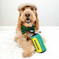 Golf Dog Toy – Birthday Dog Toy, Funny Plush Squeaky Puppy Gift with Rope & Crinkle, Golf Bag Gift