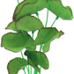 2-Pack 12 Inch Aquarium Silk Aquarium Plants, Artificial Plastic Plant for Small Tank, Goldfish, Fish Hides (Green B, 12 Inch)