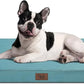 Outdoor Dog Bed for Medium Dogs, Waterproof Dog Bed for Medium Dogs Cats, Orthopedic Egg Crate Foam Pet Bed with Washable and Removable Oxford Cover, Light Blue