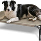 Elevated Dog Bed for Outdoor, Large Raised Dogs Cot for Training, Cooling Pet Beds with Washable Mesh, Indestructible Lifted Platform for Outside Camping, 41 inch Brown